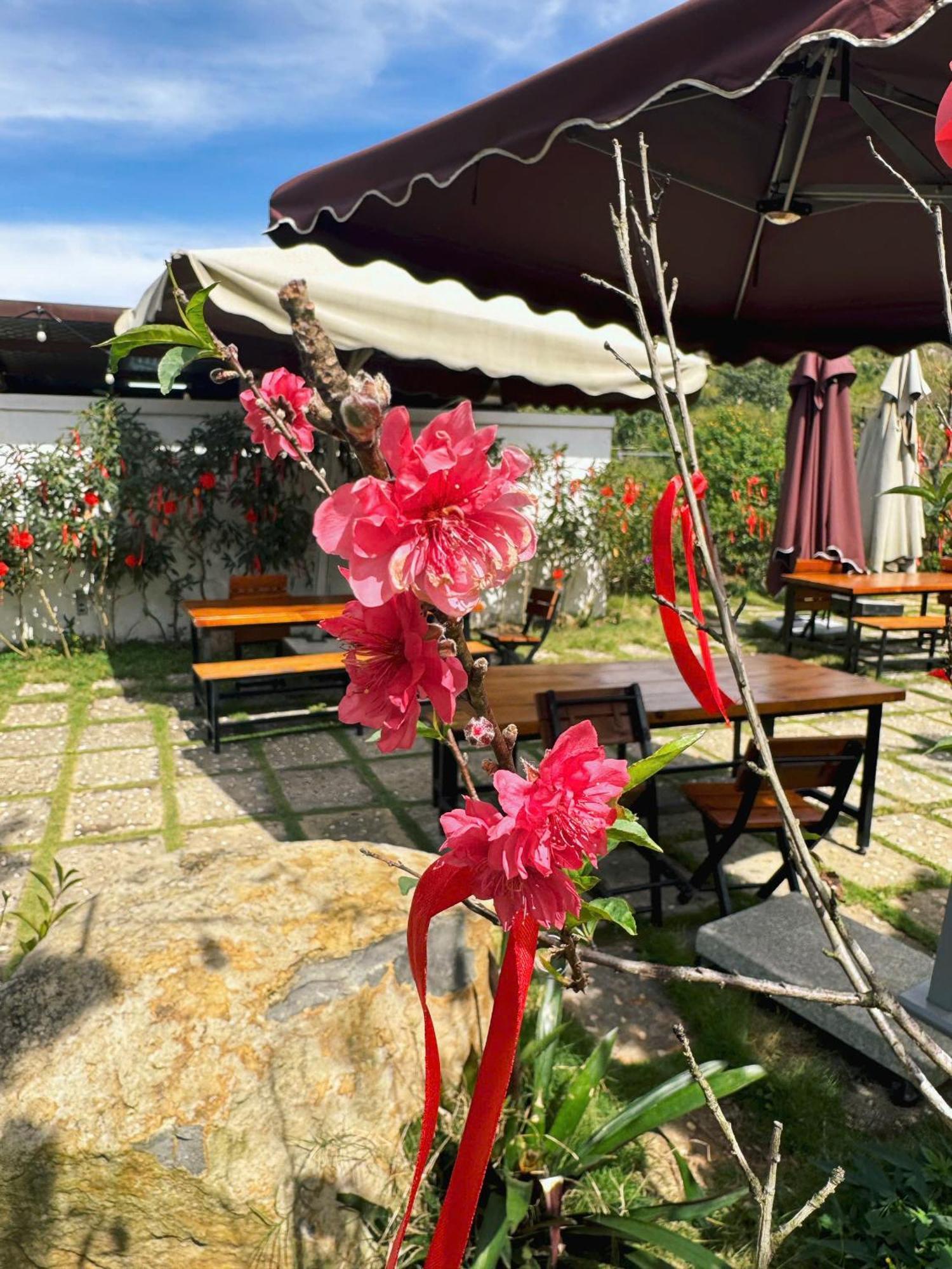 Greeneco Da Lat Hotel - Khach San Green Eco Да Лат Екстериор снимка